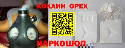 крисы Камышлов