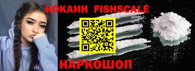 твердый Кингисепп