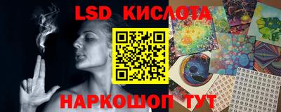 крисы Камышлов