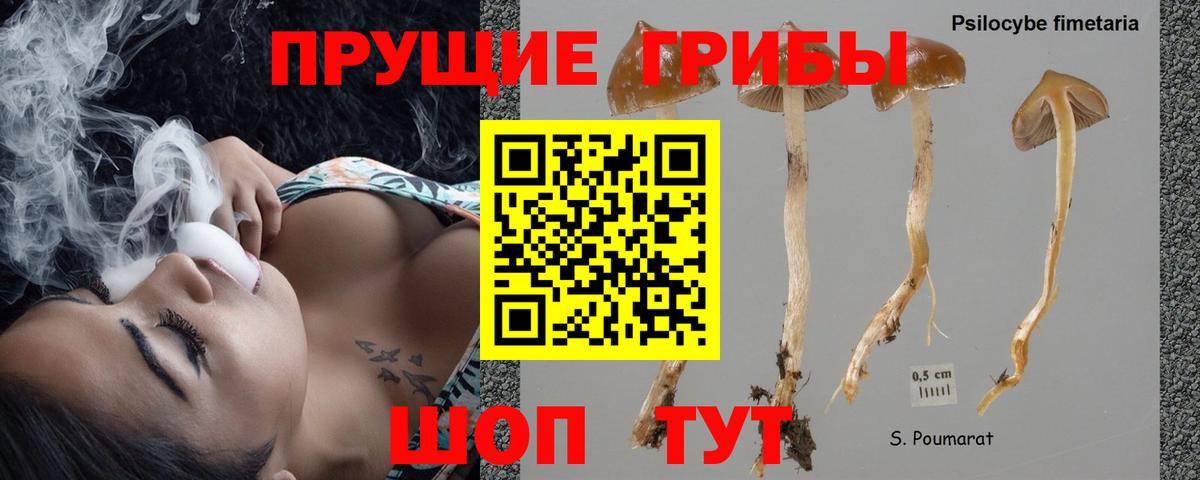 Псилоцибиновые грибы Cubensis  Вход с VPN  Котлас 
